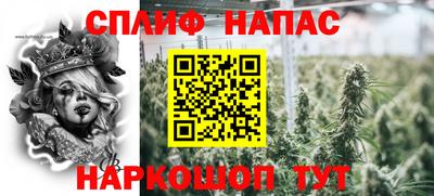 гидра Бузулук