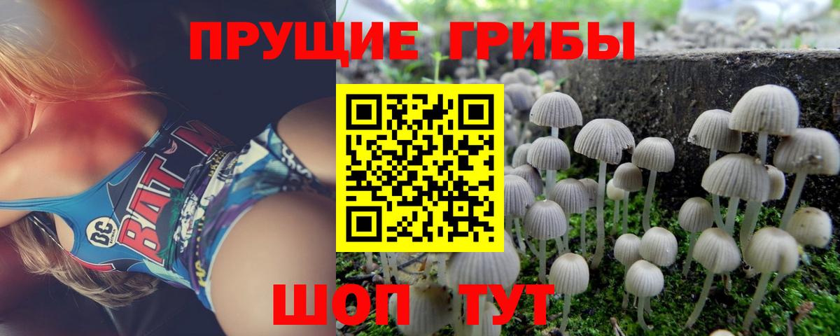 Галлюциногенные грибы Magic Shrooms  как найти   Вход с VPN  Протвино  Галлюциногенные грибы GOLDEN TEACHER 