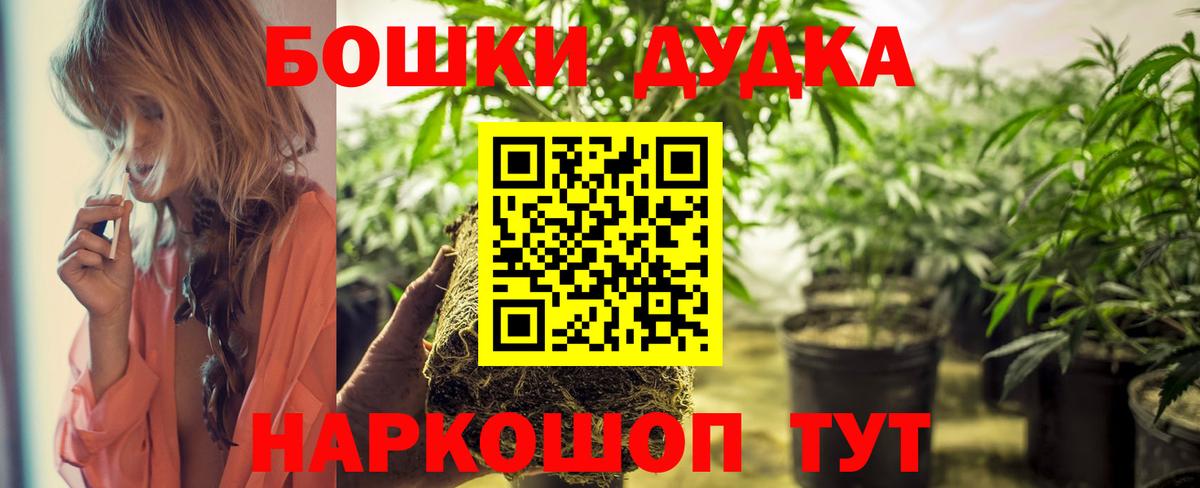Конопля план  Вход с VPN  Протвино  Бошки Шишки индика 